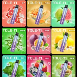 TOLE 拋棄式10000口