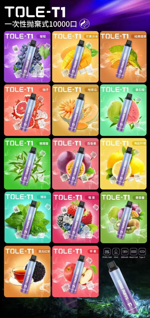 TOLE 拋棄式10000口
